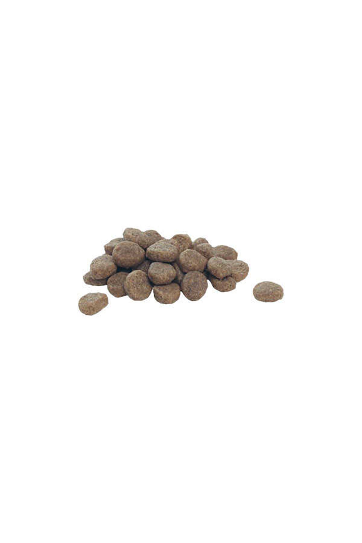 Proplan Yavru Köpek Mama Orta Irk Kuzu Pirinç 3 Kg