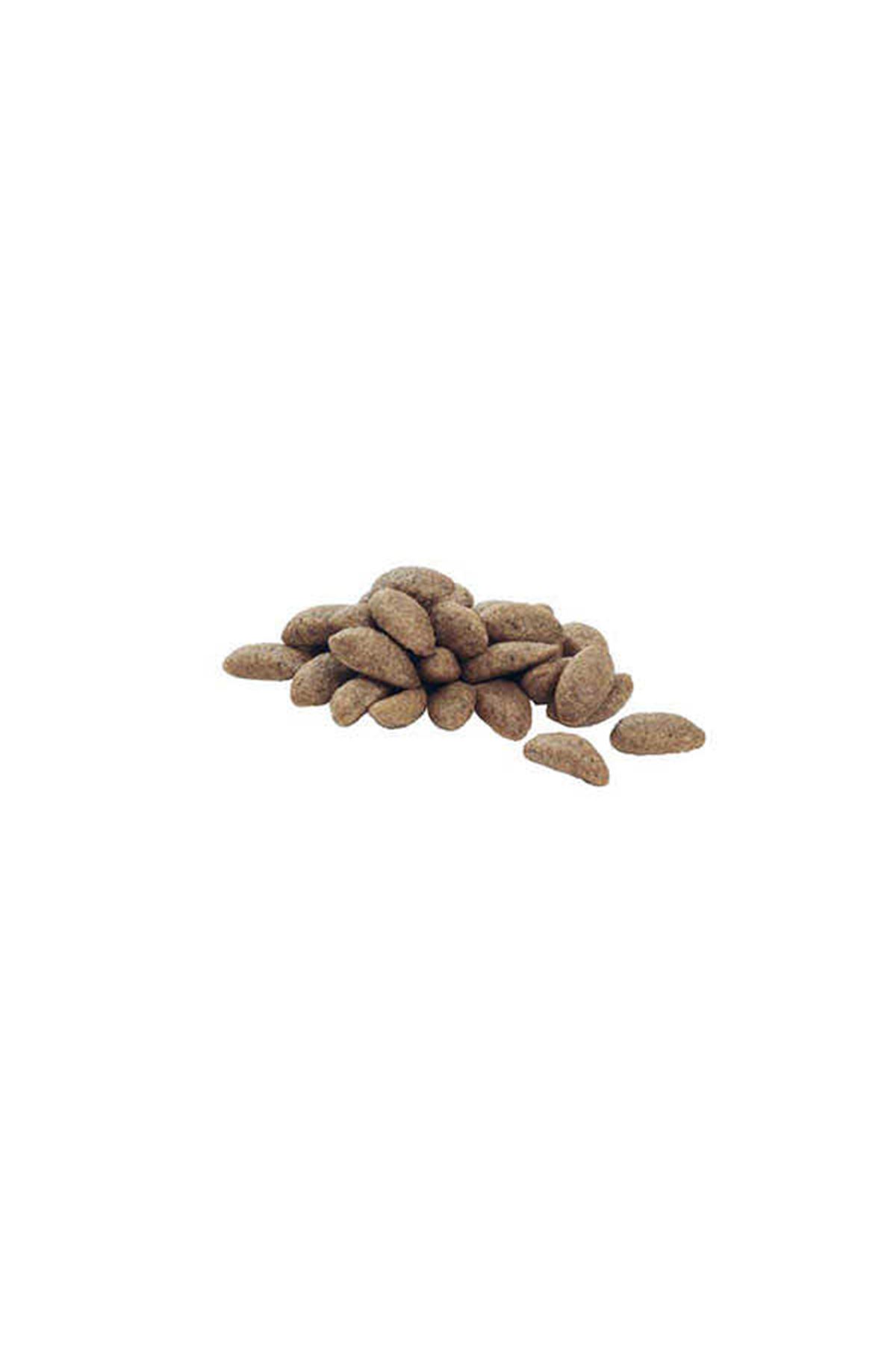 Proplan Köpek Maması Büyük Irk Somon,Pirinç 14 Kg