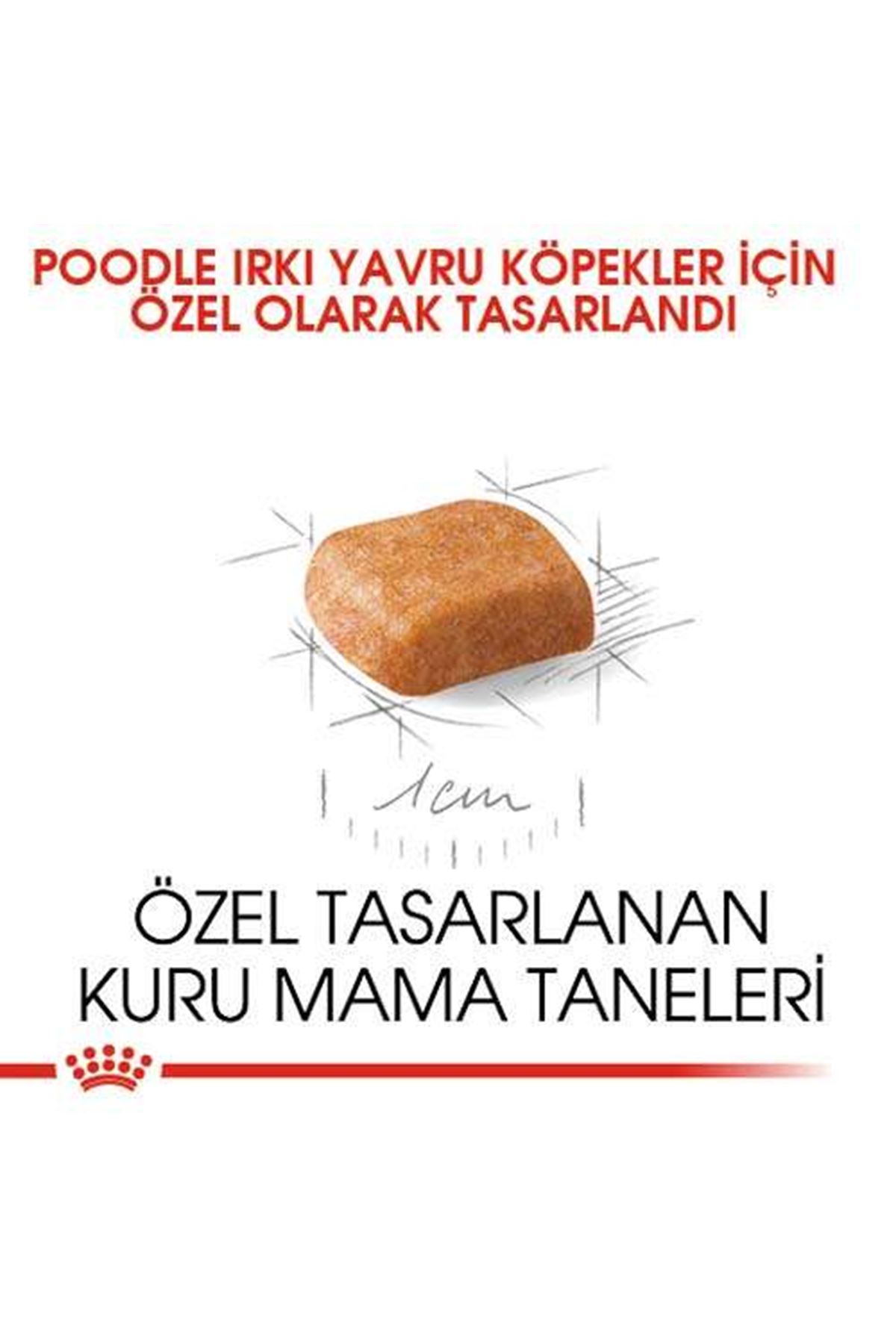 Royal Canin Köpek Maması Poodle 2 Kg+2 Pouch