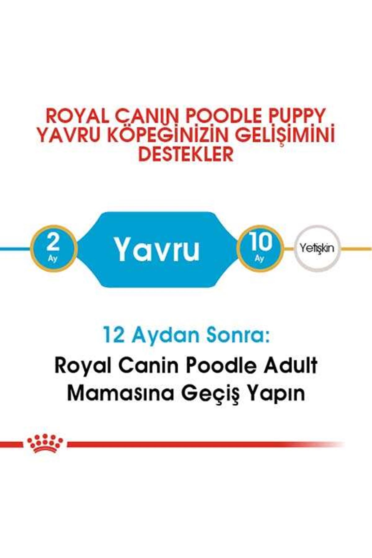 Royal Canin Köpek Maması Poodle 2 Kg+2 Pouch