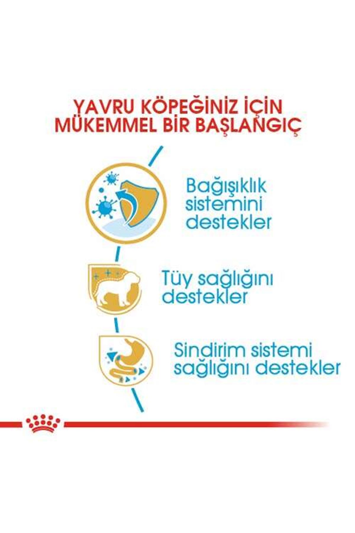 Royal Canin Köpek Maması Poodle 2 Kg+2 Pouch