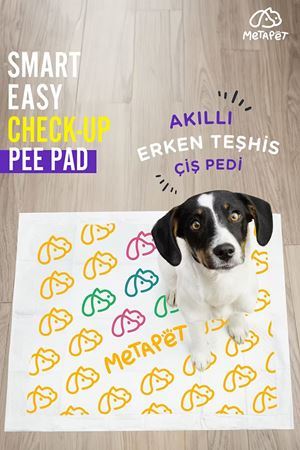 Çiş Pedleri