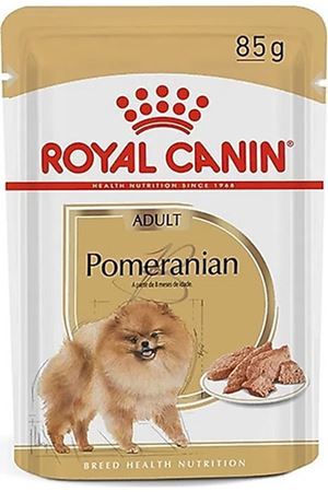 Özel Irk Köpek Maması