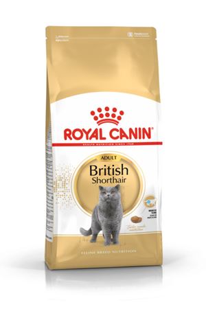 Royal Canin British Shorthair Adult Yetişkin Kedi Maması 2 Kg