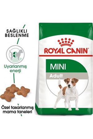 Royal Canin Mini Adult Küçük Irk Yetişkin Köpek Maması 4 kg