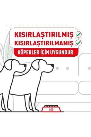 Royal Canin Fransız Bulldog Yetişkin Kuru Köpek Maması 3kg
