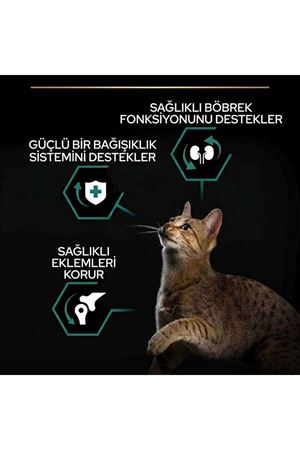 Pro Plan Sterilised Hindi-Tavuk Kısırlaştırılmış Kedi Maması 3 Kg
