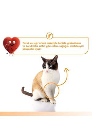 Wanpy Kedi Krema Sığır Etli,Tavuk Eklem Dest.5*14G