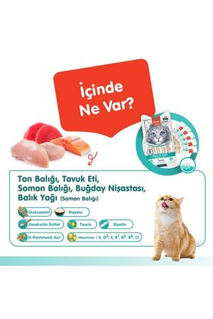 Wanpy Kedi Krema Ton Balık,Somon Tüy Sağlığı 5*14G