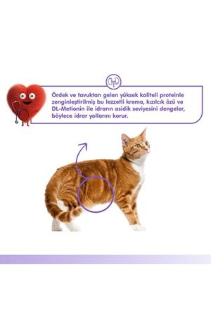 Wanpy Kedi Krema Urinary Ördekli Tavuklu 5*14 G