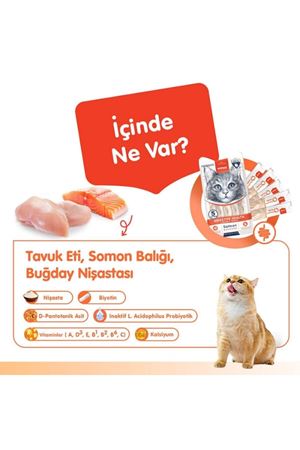 Wanpy Kedi Krema Somon,Tavuk Sindirim Dest. 5*14G