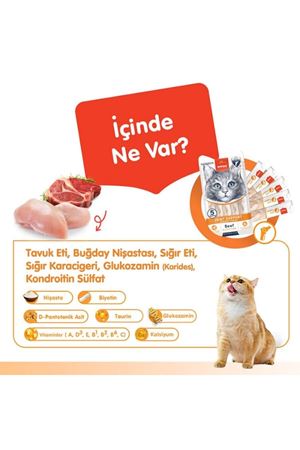 Wanpy Kedi Krema Sığır Etli,Tavuk Eklem Dest.5*14G