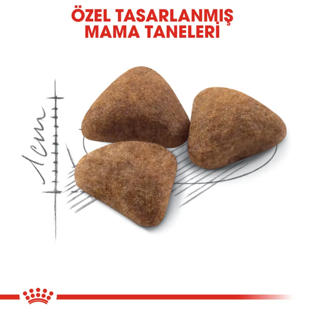 Royal Canin Kedi Maması Indoor27 2 Kg
