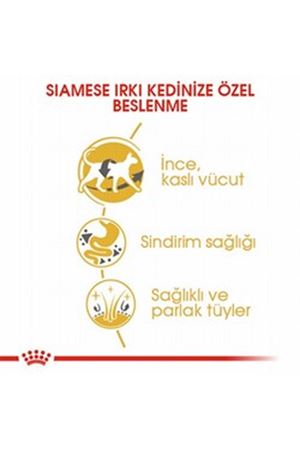 Royal Canin Kedi Maması Siyam 2 Kg