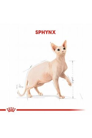 Royal Canin Kedi Maması Sfenks 2 Kg