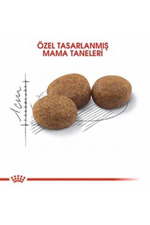Royal Canin Kısır Kedi Maması 15 Kg