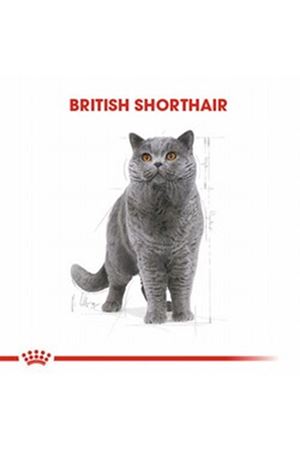 Royal Canin Kedi Yaş Maması British Shorthair 85 G