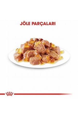 Royal Canin Kedi Yaş Maması Hair Skin Jöle 85 G