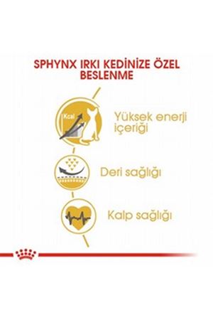 Royal Canin Kedi Maması Sfenks 2 Kg
