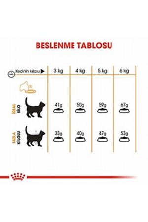 Royal Canin Kedi Maması Tüy Ve Deri Sağlığı 2 Kg