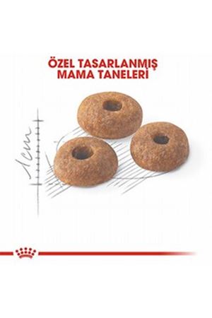 Royal Canin Kedi Maması Fit 32 4 Kg