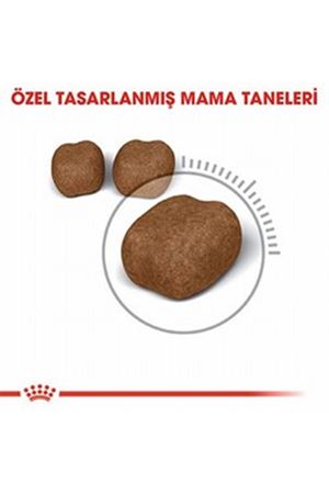 Royal Canin Kedi Maması Diş Sağlığı 1.5 Kg
