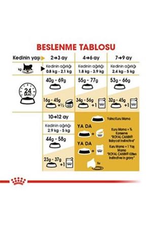 Royal Canin Yavru Kedi Maması İran Kedisi 2 Kg
