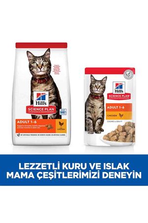 Hill's Kedi Maması Tavuklu 3 Kg