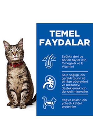 Hill's Kedi Maması Kuzulu 3 Kg