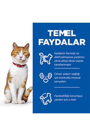 Hill's Kısır Kedi Maması Ördekli 3 Kg