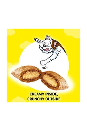 Dreamies Kedi Ödül Maması Somonlu 60 G