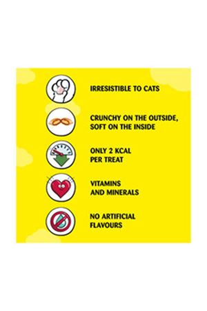 Dreamies Kedi Ödül Maması Somonlu 60 G