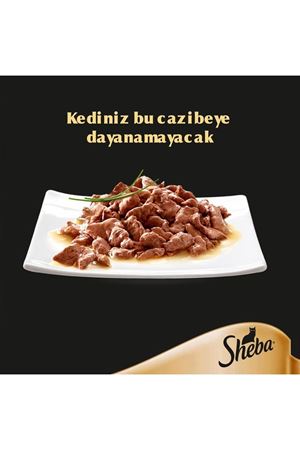 Sheba Kedi Yaş Maması Somonlu 85 G