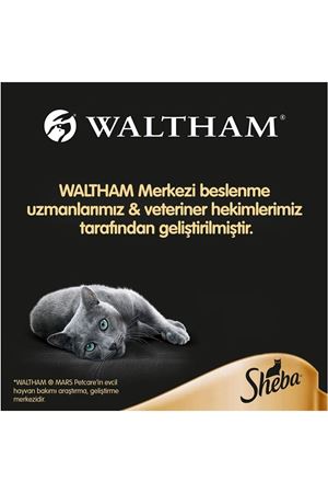 Sheba Kedi Yaş Maması Somonlu 85 G