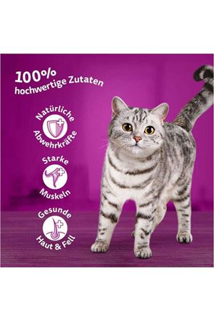 Whiskas Kedi Yaş Maması Tasty Duo 85 G