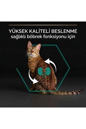 Proplan Kısır Kedi Maması Somonlu 1.5 Kg + Hediye