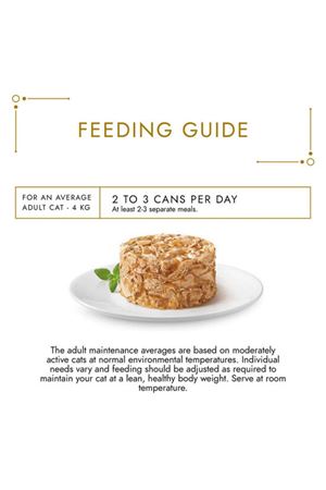 Gourmet Gold Kedi Yaş Maması Somon ve Tavuklu 85 G