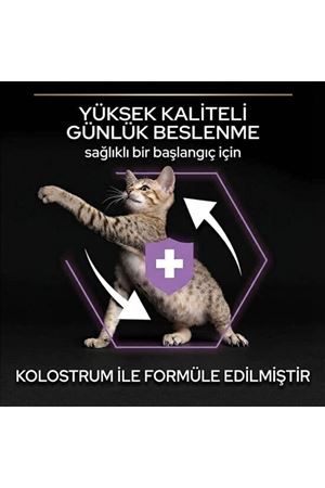 Proplan Yavru Kedi Maması Tavuklu 400 G