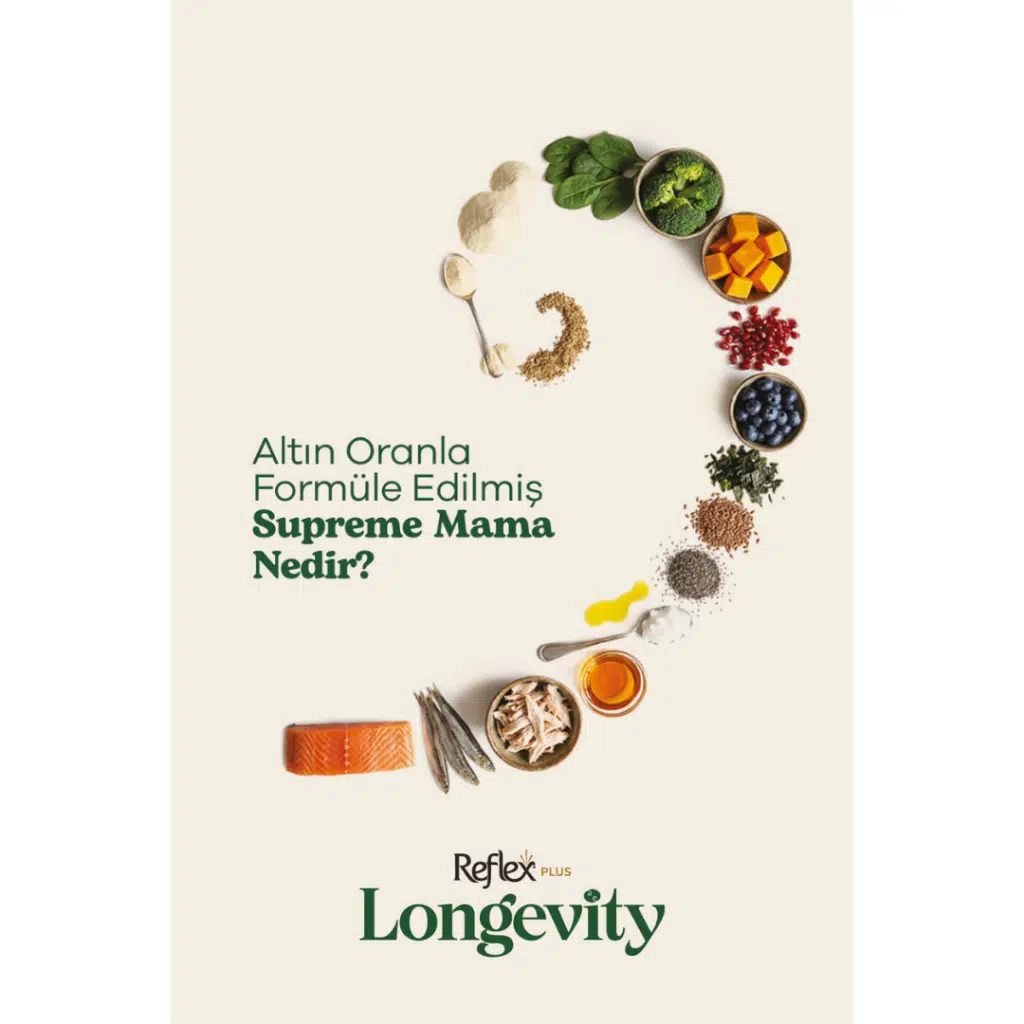 Longevity Kedi Maması 1.1 Kg