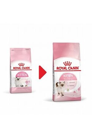 Royal Canin Yavru Kedi Maması Kitten36 10 Kg