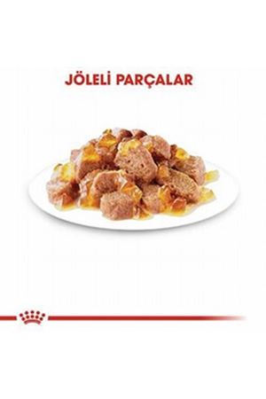Royal Canin Yavru Kısır Kedi Yaş Maması Jöle 85 G