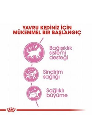 Royal Canin Yavru Kedi Maması Kitten36 10 Kg
