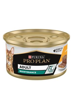 Proplan Kedi Yaş Maması Tavuklu 85 G