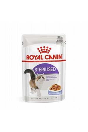 Royal Canin Yavru Kısır Kedi Yaş Maması Jöle 85 G