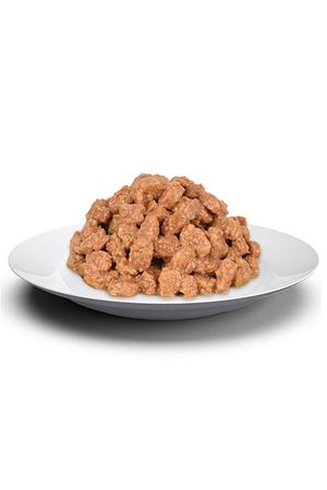 Jungle Kedi Yaş Maması Somonlu 100 G