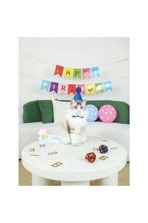 M-Pets Kedi Doğum Günü Seti Party Time 20*20*7 Cm