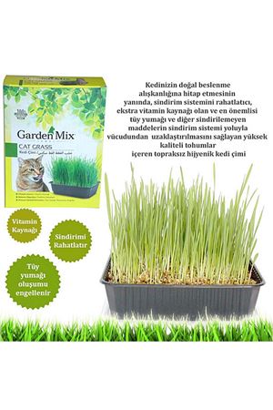 Garden Mix Kedi Çimi