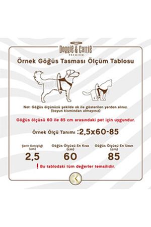 Cattie Kedi Göğüs, Gezdirme Takımı Kırmızı 25-40Cm