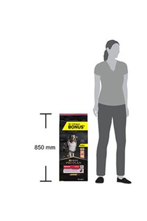Proplan Köpek Maması Orta Irk Somonlu 14 Kg+2.5 Kg
