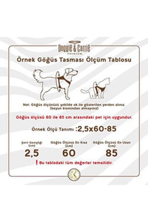 Cattie Kedi Göğüs, Gezdirme Takımı Turuncu 25-40Cm